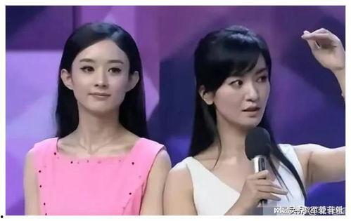 娱乐圈吃瓜爆料连载小说